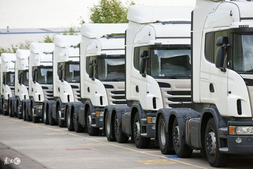 首批國產電動物流車運抵美國，技術優勢開啟國際化新征程