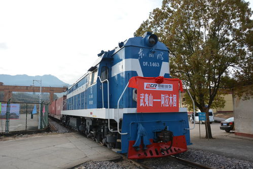 全球復(fù)蘇前景仍不確定，中國經(jīng)濟(jì)穩(wěn)定器作用凸顯——以道路貨物運(yùn)輸為觀察視角